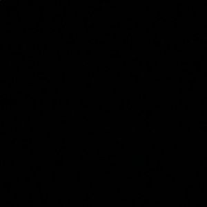 Meet your Posher, Kenny